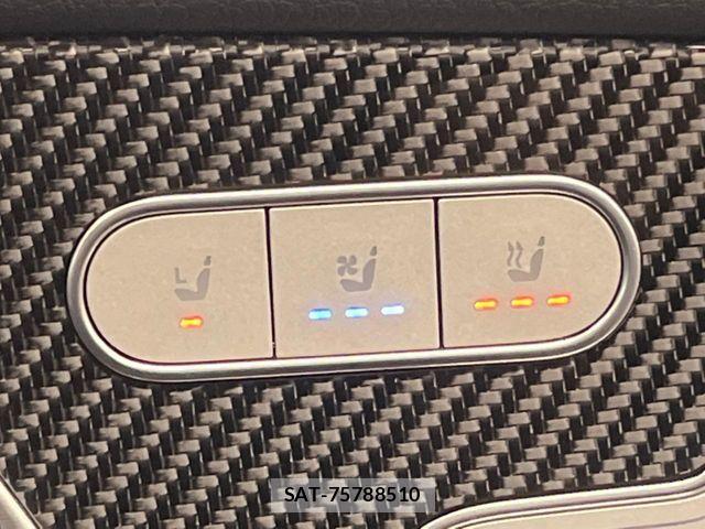 Mercedes Benz GLE-CLASS 2021-06 7725419-6