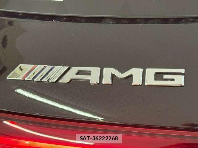 Mercedes Benz GLE-CLASS 2023-09 8100323-11