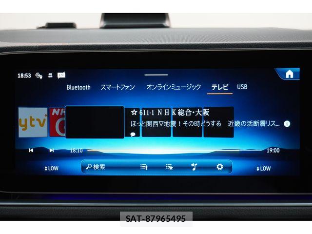 Mercedes Benz GLE-CLASS 2024-07 8660125-12