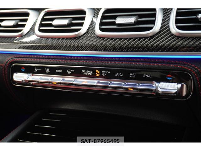 Mercedes Benz GLE-CLASS 2024-07 8660125-14