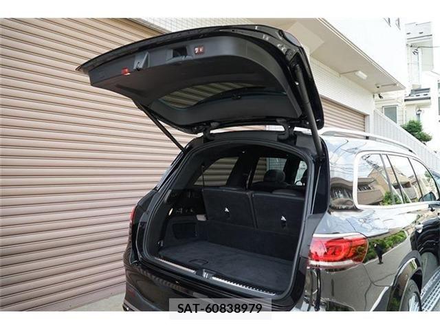 Mercedes Benz GLS-CLASS 2021-03 7221475-20