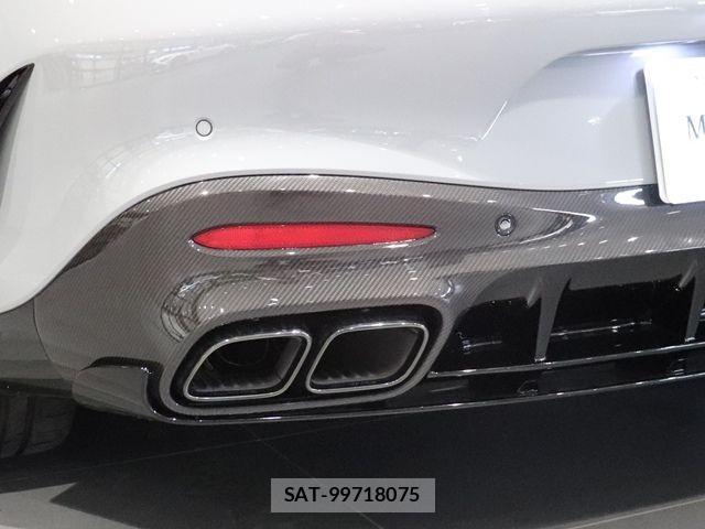 Mercedes Benz AMG GT 2025-03 3675521-20