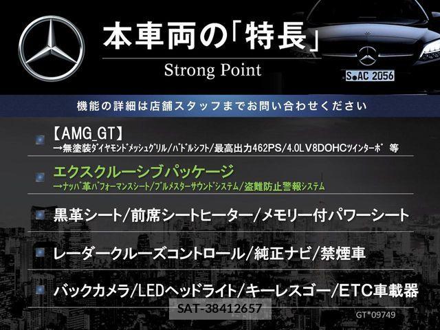 Mercedes Benz AMG GT 2016-06 8100325-2