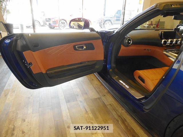 Mercedes Benz AMG GT 2019-10 8685914-25