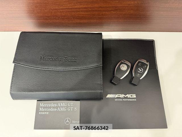 Mercedes Benz AMG GT 2017-01 8743736-13