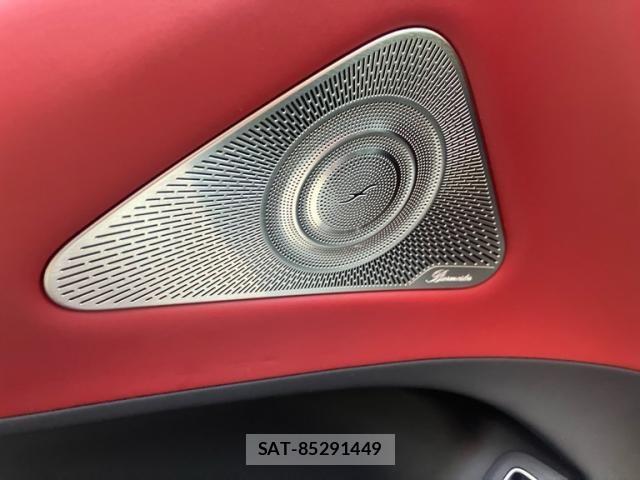 Mercedes Benz S-CLASS 2024-07 8315340-13