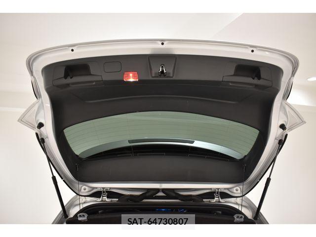 Mercedes Benz A-CLASS 2018-12 6908155-19