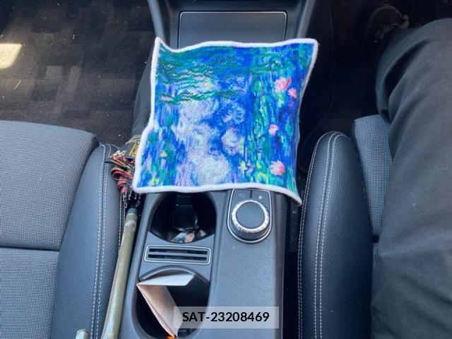 Mercedes Benz A-CLASS 2016-01 7221483-20