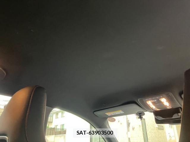 Mercedes Benz A-CLASS 2020-11 7251447-17