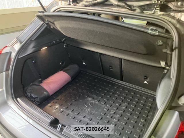 Mercedes Benz A-CLASS 2018-12 7251446-20