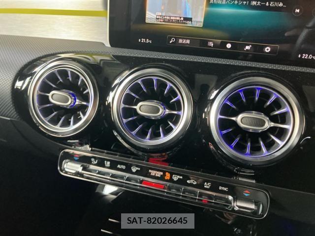 Mercedes Benz A-CLASS 2018-12 7251446-25