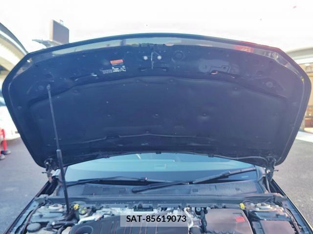 Mercedes Benz A-CLASS 2021-09 7251445-25