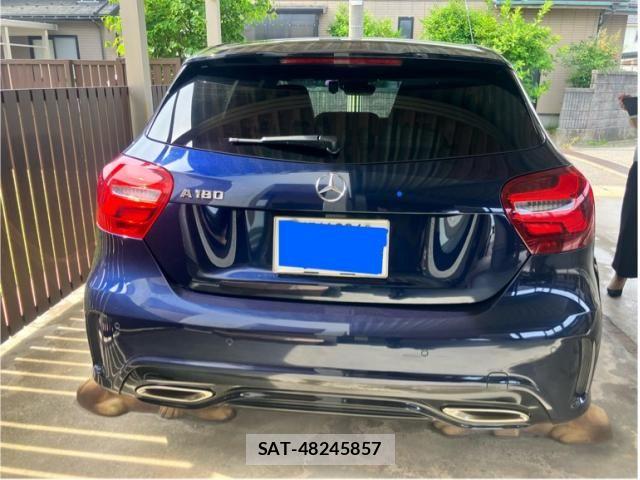 Mercedes Benz A-CLASS 2018-06 7501419-4