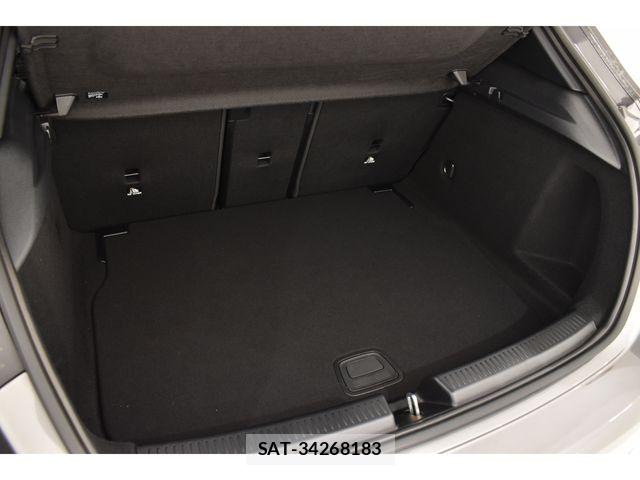 Mercedes Benz A-CLASS 2025-02 7725425-18