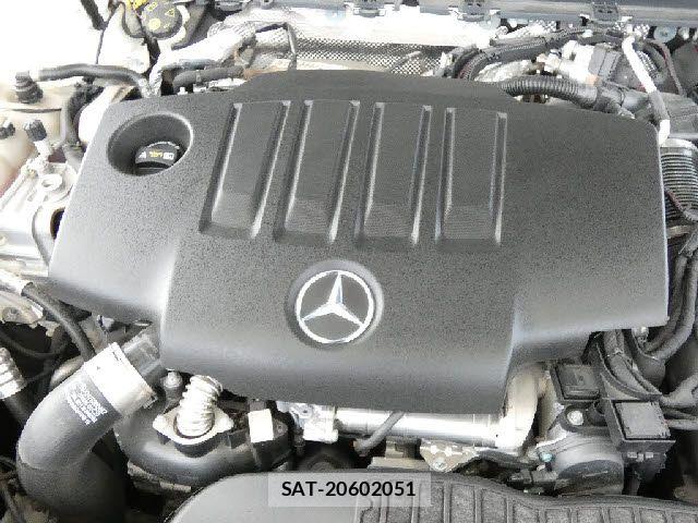 Mercedes Benz A-CLASS 2019-08 7725434-5