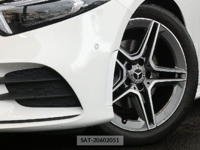 Mercedes Benz A-CLASS 2019-08 7725434-7