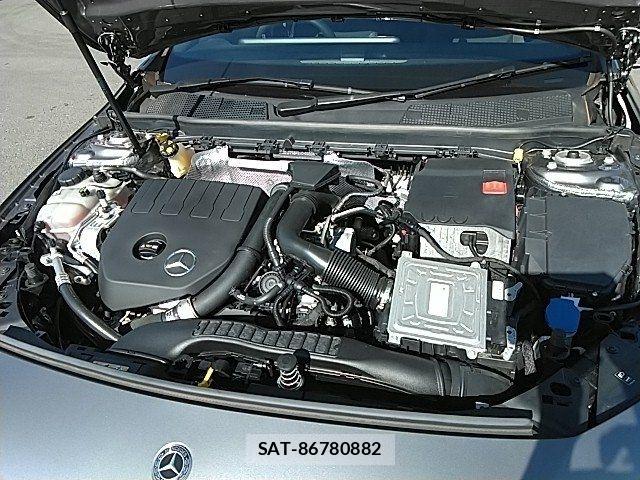 Mercedes Benz A-CLASS 2019-10 8245843-14