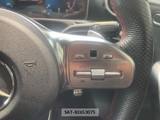 Mercedes Benz A-CLASS 2020-08 8245845-14
