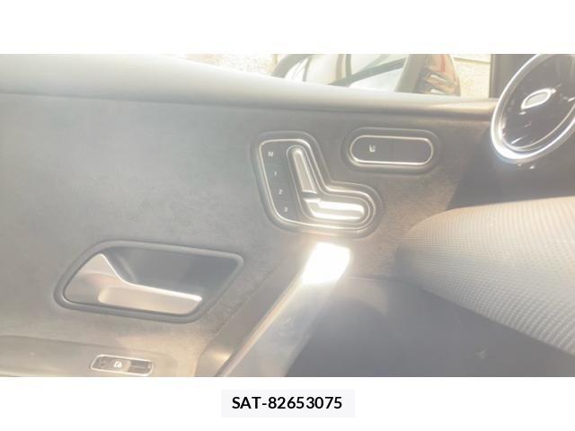 Mercedes Benz A-CLASS 2020-08 8245845-20