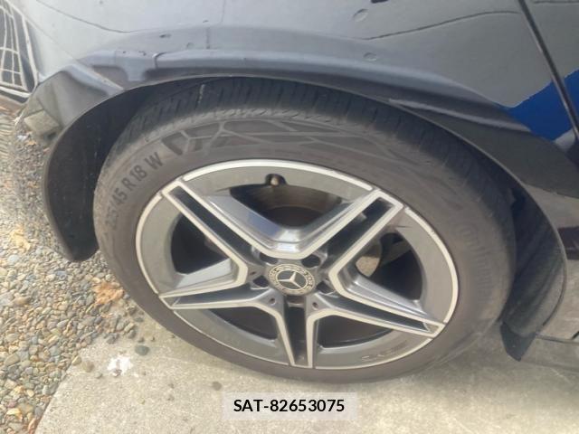 Mercedes Benz A-CLASS 2020-08 8245845-6
