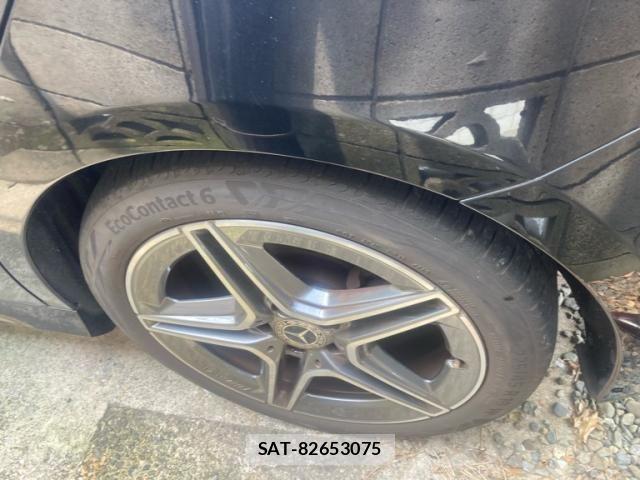 Mercedes Benz A-CLASS 2020-08 8245845-7