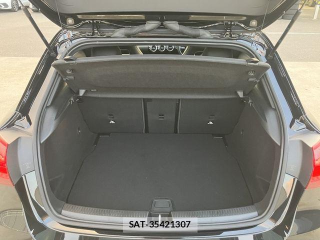 Mercedes Benz A-CLASS 2025-06 8336695-14