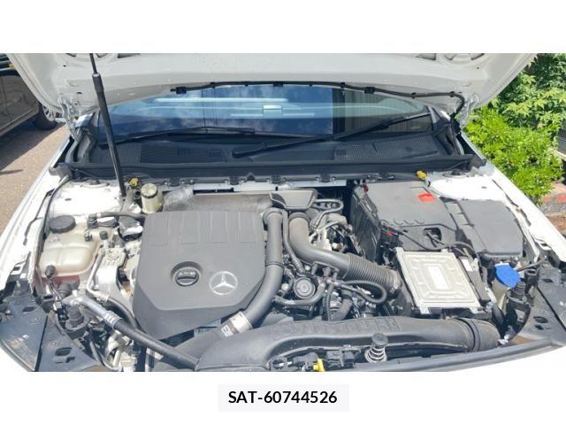 Mercedes Benz A-CLASS 2019-12 8366901-13