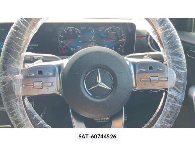 Mercedes Benz A-CLASS 2019-12 8366901-19