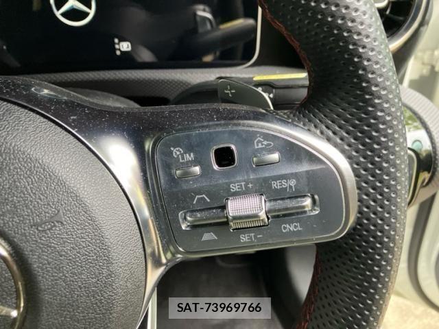 Mercedes Benz A-CLASS 2020-03 8413481-12