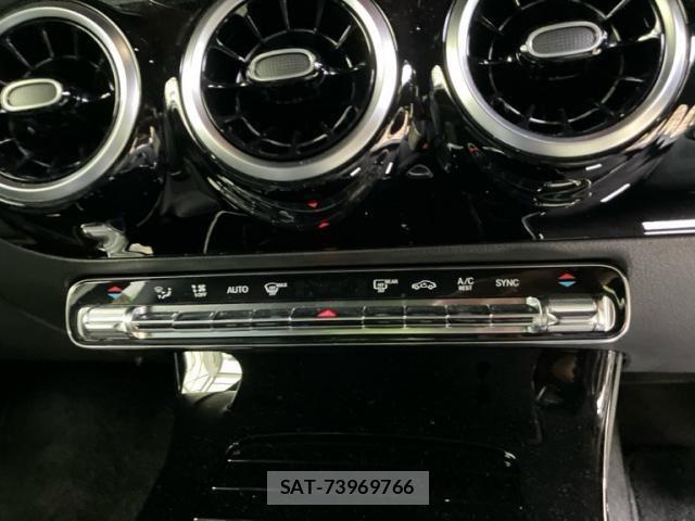 Mercedes Benz A-CLASS 2020-03 8413481-14