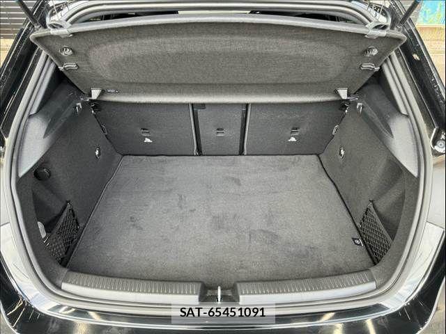 Mercedes Benz A-CLASS 2020-11 8485711-12