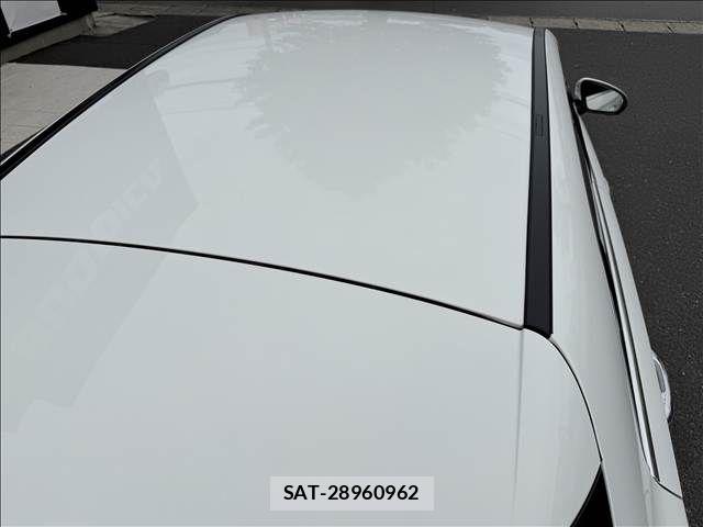Mercedes Benz A-CLASS 2019-02 8685918-18