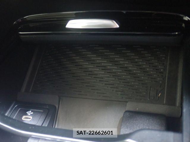 Mercedes Benz A-CLASS 2024-09 8743738-20