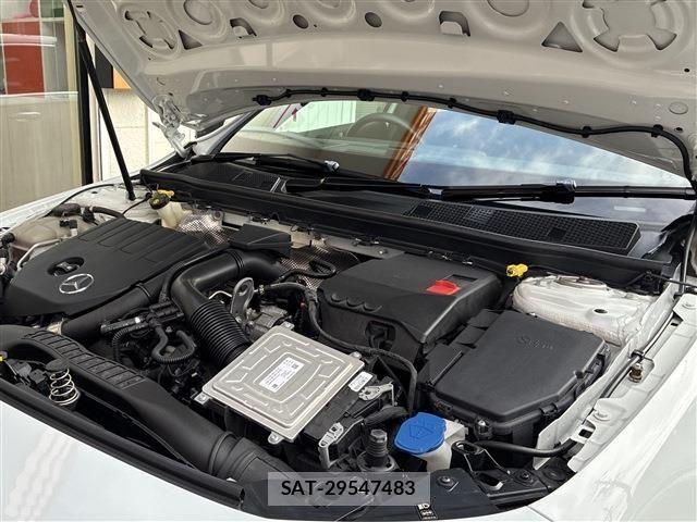 Mercedes Benz A-CLASS 2020-01 8796593-9