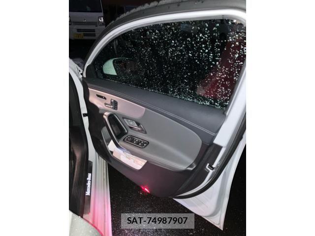 Mercedes Benz A-CLASS 2019-09 8796594-10