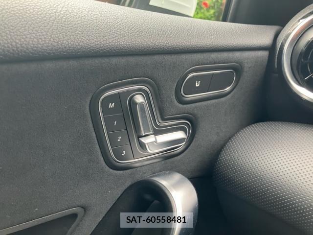 Mercedes Benz A-CLASS 2020-02 8849739-24