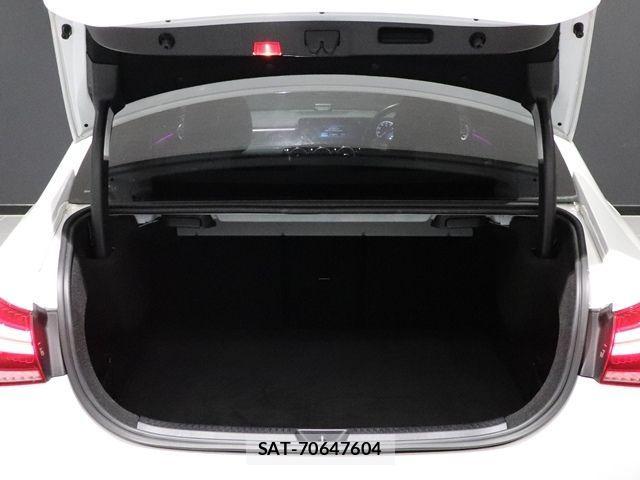 Mercedes Benz A-CLASS 2020-03 1237020-16