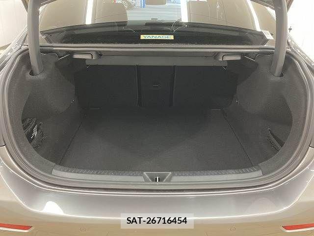 Mercedes Benz A-CLASS 2020-05 4755351-13
