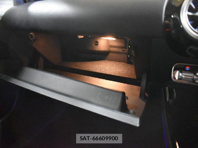 Mercedes Benz A-CLASS 2019-09 5871666-13