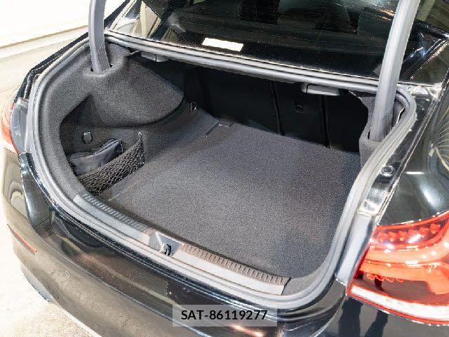 Mercedes Benz A-CLASS 2019-09 6012598-11