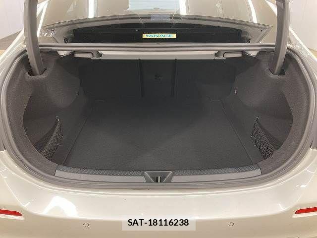 Mercedes Benz A-CLASS 2019-11 6216747-13