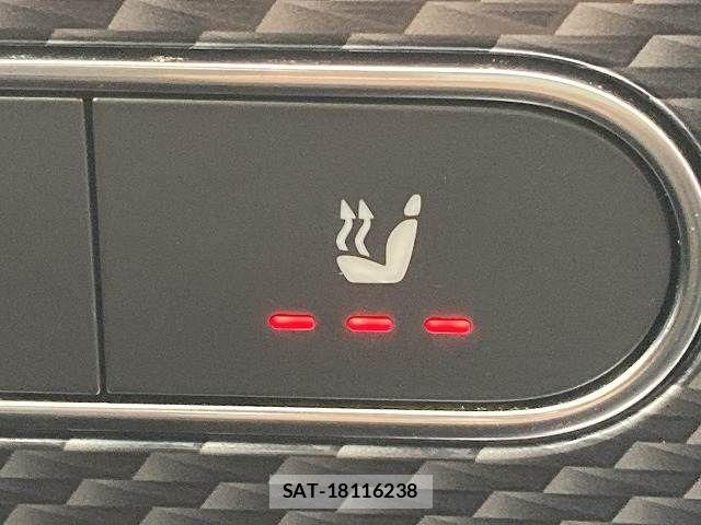 Mercedes Benz A-CLASS 2019-11 6216747-5