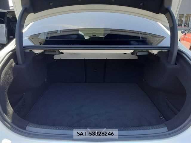 Mercedes Benz A-CLASS 2020-06 6672428-8