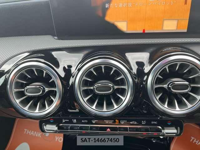 Mercedes Benz A-CLASS 2025-03 7358662-7