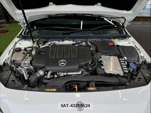 Mercedes Benz A-CLASS 2020-10 7501424-11