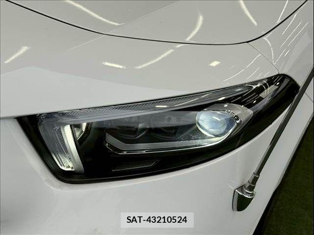 Mercedes Benz A-CLASS 2020-10 7501424-19