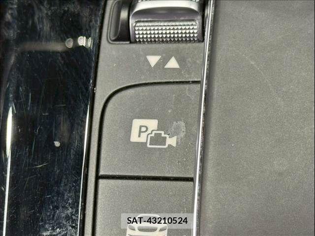 Mercedes Benz A-CLASS 2020-10 7501424-8