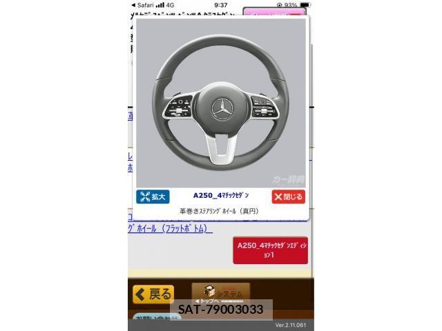 Mercedes Benz A-CLASS 2019-09 7877639-13