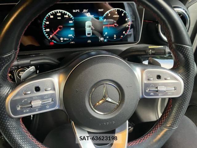 Mercedes Benz A-CLASS 2019-12 8666474-13