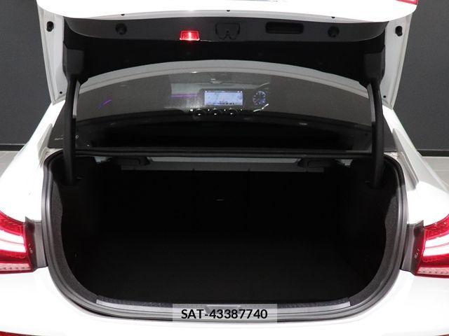 Mercedes Benz A-CLASS 2020-02 8880688-16